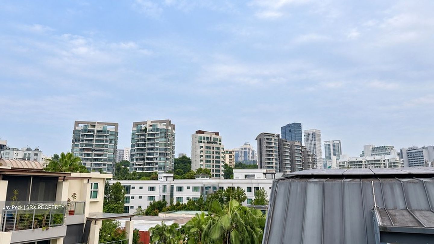 Loft @ Stevens (D10), Apartment #636377231